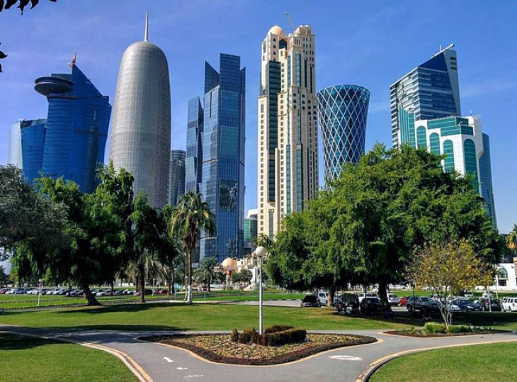 Greenery in Qatar. Pinterest
