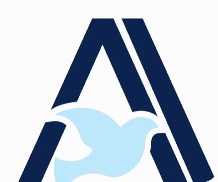 Logo credit Abraham Accords Peace Institute.