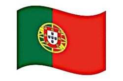Flag of Republic of Portugal 