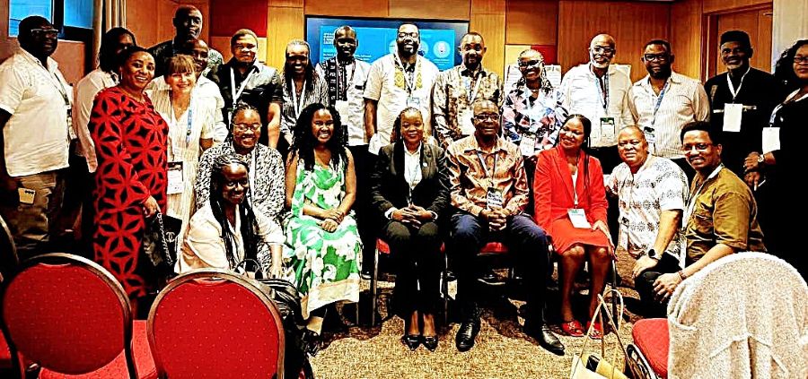 A group photo of the participants. Africa Briefs image