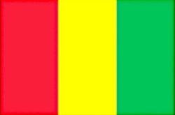 Flag on Guinea