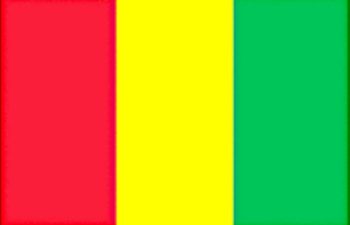Flag on Guinea