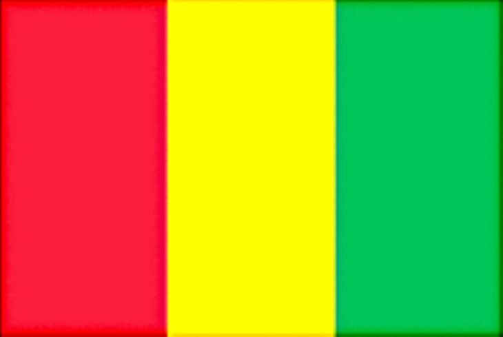 Flag on Guinea
