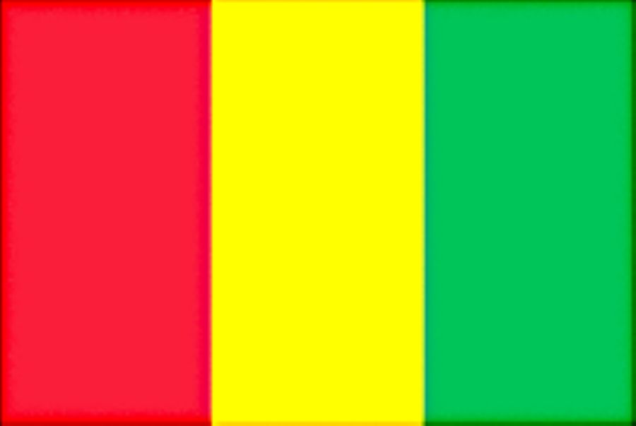 Flag on Guinea